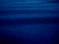 S94C009